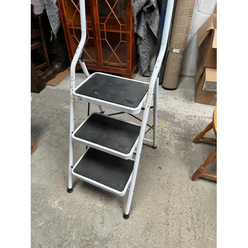 30 - Step Ladder - Viewing Section S4