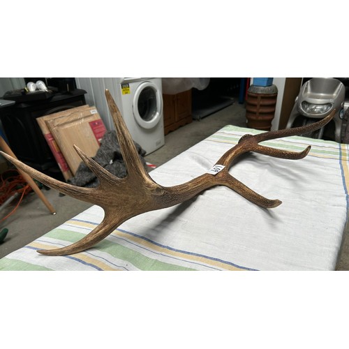 109 - Antler  - Viewing section: S6