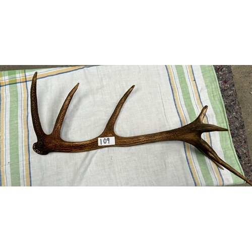 109 - Antler  - Viewing section: S6