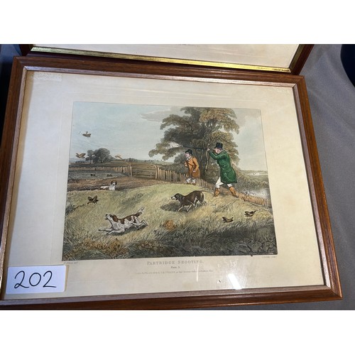 202 - Antique partridge Shooting prints (4) - Viewing Section: O30