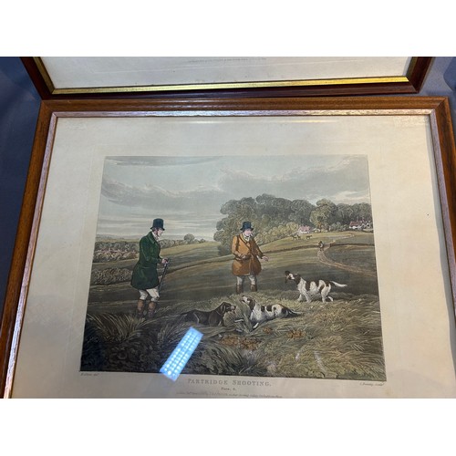 202 - Antique partridge Shooting prints (4) - Viewing Section: O30