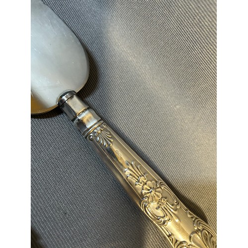 205 - Pair of sterling silver hallmarked cake servers (handle silver only) - Viewing Section: O1A