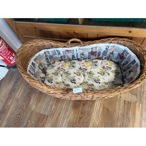 Moses Basket Viewing Section