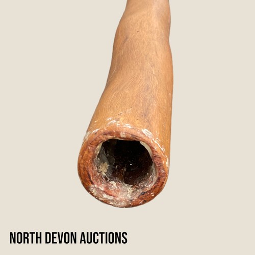 321 - Didgeridoo - Viewing Section: O6