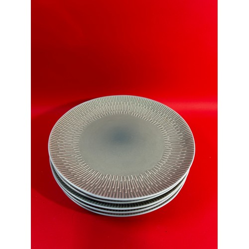 79 - Collection of Dunelm plates and bowls