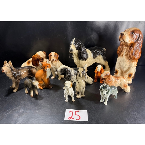 Lot 25        
