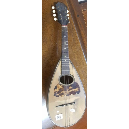 445 - A MANDOLIN