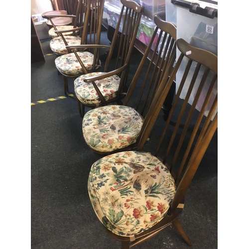 561 - SET OF 6 ERCOL DINING CHAIRS (4 PLUS 2 CARVERS) WITH ORIGINAL CUSHIONS