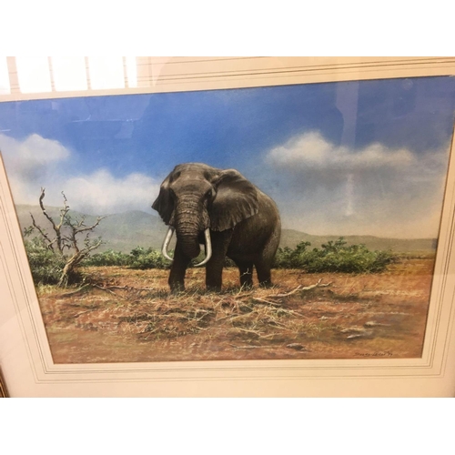 406 - F/G ELEPHANT PICTURE & F/G FLOWER PICTURE, BOTH SIGNED