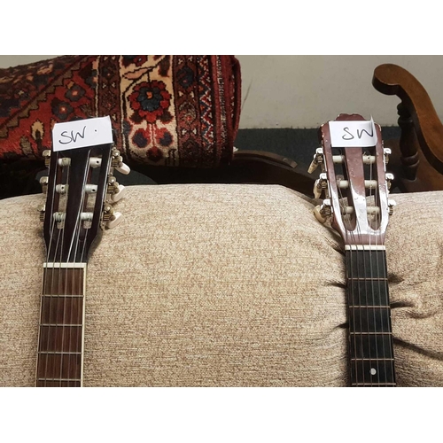 410 - LORNEZO ACOUSTIC GUITAR & STRETTON PAYNE