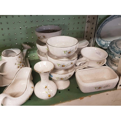 447 - 2 SHELVES OF KERNEWEK DINNERWARE