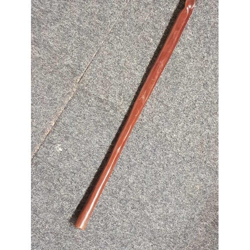 450 - ETHNIC WALKING CANE