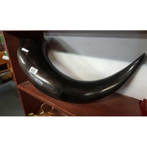 455 - LARGE ANIMAL HORN DISPLAY