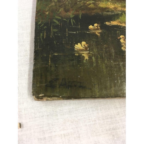 509 - SMALL OIL PAINTING ON WOODEN PANEL OF DUCKS AND DUCKLINGS ON A RIVERBANK, INDISTINCTLY SIGNED C ARTZ