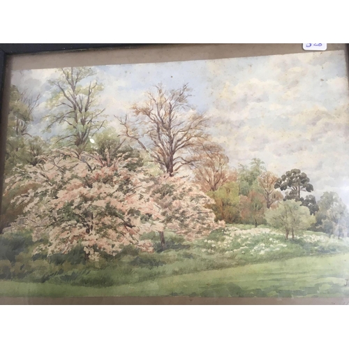 528 - PAIR OF LANDSCAPE WATERCOLOURS, ONE A VIEW OF KEW GARDENS DATED MAY 1905 TOGETHER WITH ANOTHER MOORL... 