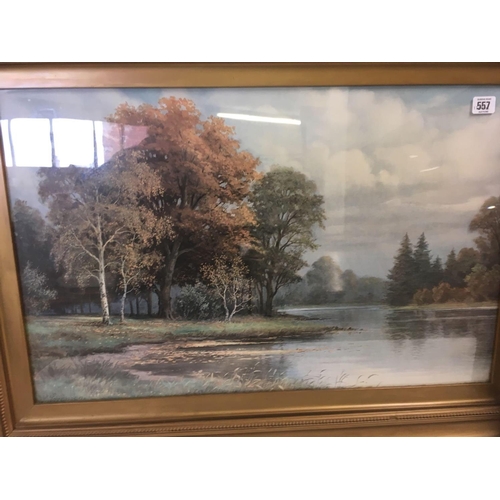 557 - PAIR OF TREE-LINED RIVER VIEWS, IN GOOD LARGE, GILT FRAMES