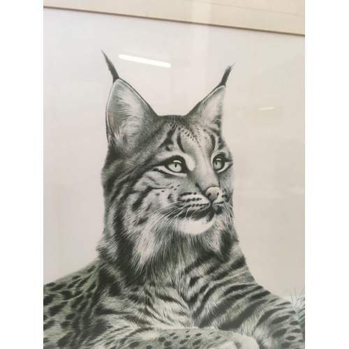 606 - GILT F/G PICTURE PRINT OF A LYNX CAT BY ERIC TENNEY