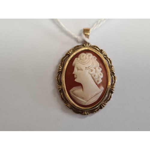 671 - CARVED SHELL CAMEO PENDANT SET IN 9ct GOLD