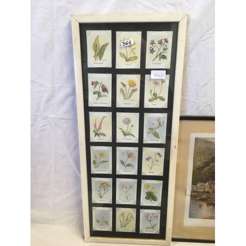 366 - 4 FRAMED PRINTS & 2 SETS OF FRAMED CIGARETTE CARDS - WILD FLOWERS & MEADOW FLOWERS