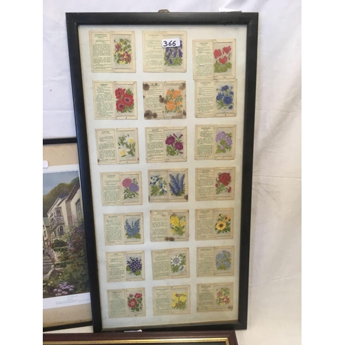 366 - 4 FRAMED PRINTS & 2 SETS OF FRAMED CIGARETTE CARDS - WILD FLOWERS & MEADOW FLOWERS