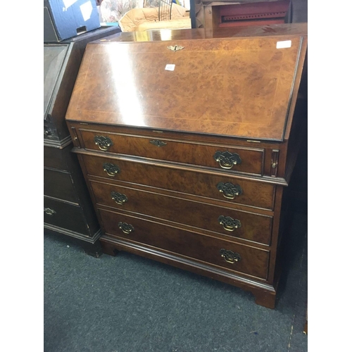 495 - REPRODUCTION BURR WALNUT BUREAU WITH FITTED INTERIOR & BRASS DROP HANDLES, 33'' WIDE