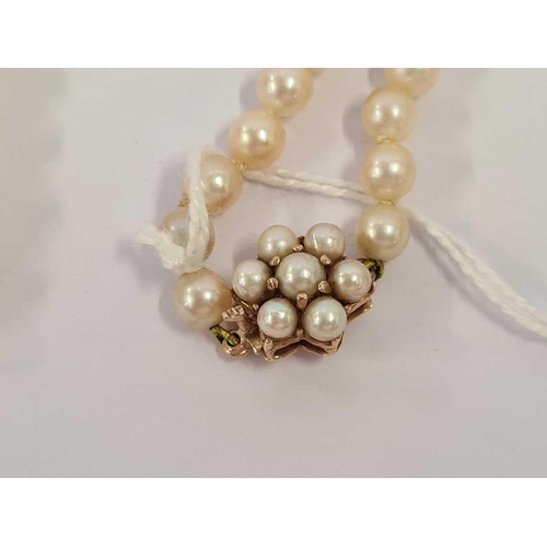 588 - STRING OF PEARLS WITH 9ct GOLD CLASP