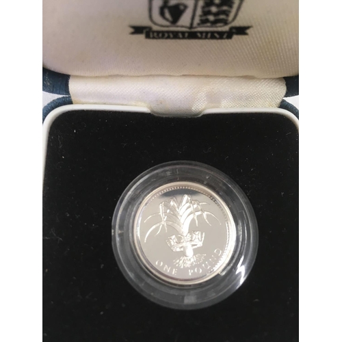 772 - £1 SILVER PROOF COIN