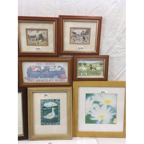 390 - 3 FRAMED PRINT PICTURES & A MOUNTED PRINT OF A CAT