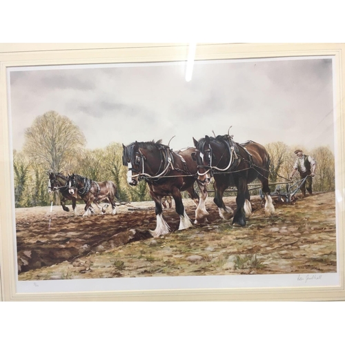 430 - LIMITED EDITION PRINT OF SALUKI DOGS BY STEVEN NESTBITT & 2 LIMITED EDITION PRINTS OF CART HORSES SI... 