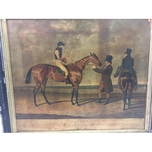 439 - 2 FRAMED PICTURES, 1 OF CATS, THE OTHER HORSE & JOCKEY