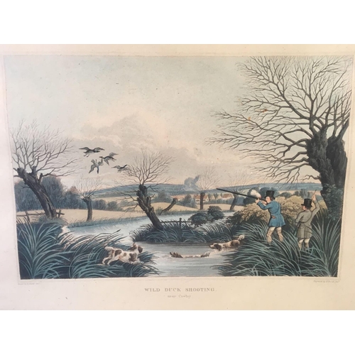 515 - OF EXETER INTEREST. ANTIQUE HAND COLOURED ENGRAVING ''WILD DUCK SHOOTING NEAR COWLEY'', DRAWN & ENGR... 