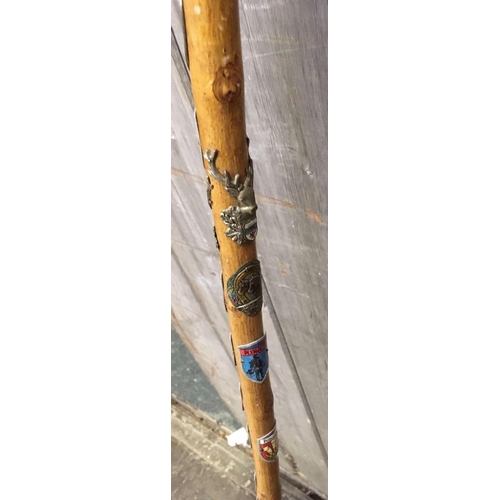 380 - WOODEN HIKING STICK WITH HORN HANDLE & QTY OF TOWN BADGES ATTACHED