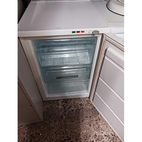 232 - ZANUSSI FREEZER