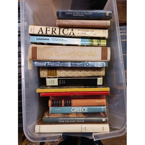 145 - 2 CARTONS OF BOOKS OF ART & TRAVEL MAINLY EUROPEAN