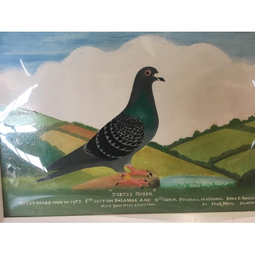 35 - 6 PICTURES OF PIGEON RACING  WINNERS PRESENTATION PLATE, SMALL MEDALLION & 1 PAINTED PICTURE OF WINN... 