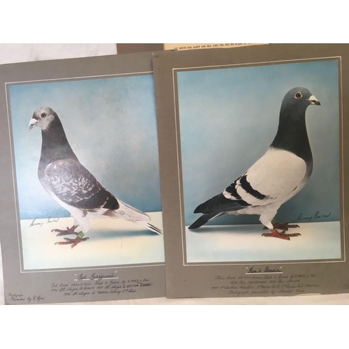 35 - 6 PICTURES OF PIGEON RACING  WINNERS PRESENTATION PLATE, SMALL MEDALLION & 1 PAINTED PICTURE OF WINN... 