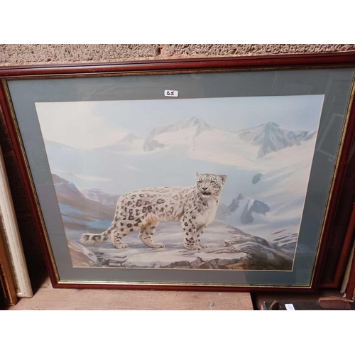 85 - 6 F/G PICTURES OF VARIOUS SIZES OF LEOPARDS INCL; SNOW LEOPARD