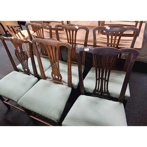 498 - 6 GREEN COVERED SEATED OAK DINING CHAIRS