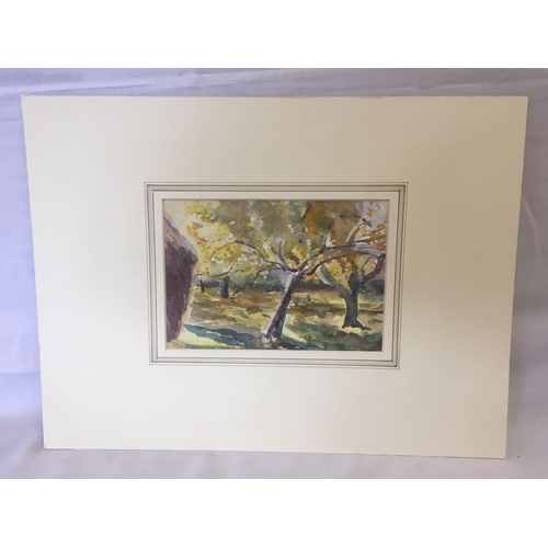 511 - W. J. CAPARNE [1856-1940] UNFRAMED WATERCOLOUR SIGNED AND INSCRIBED TO  REVERSE ''AUTUMN ORCHARD'' 1... 