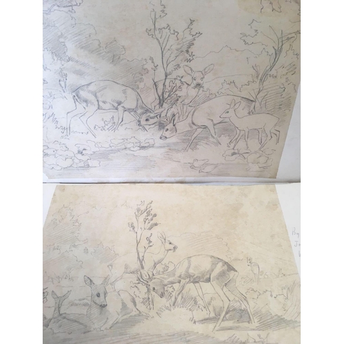 515 - JOSEPH WOLF 1820-1899; 2 UNFRAMED PENCIL DRAWINGS OF ANTELOPE IN LANDSCAPE TOGETHER WITH SOME DOCUME... 