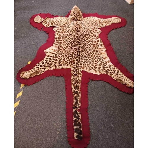 269 - OLD LEOPARD SKIN RUG WITH BRASS PLAQUE STATING, F.L SHEPHERD TAXI BHOWALI