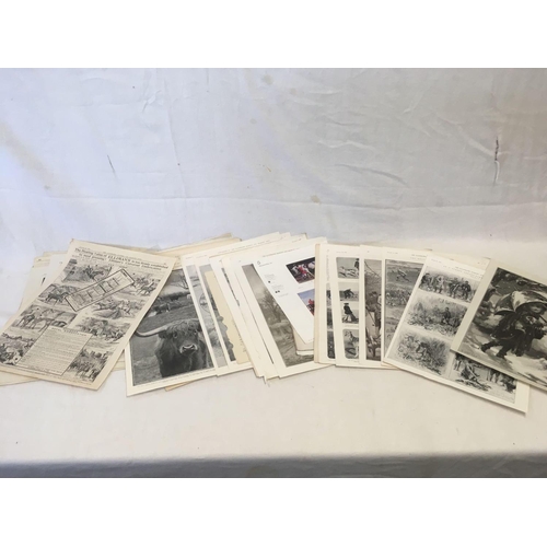 501 - FOLDER OF A LARGE QUANTITY OF PRINTS AND ENGRAVINGS FROM VARIOUS MAGAZINES IN	1907, MAINLY FROM THE ... 