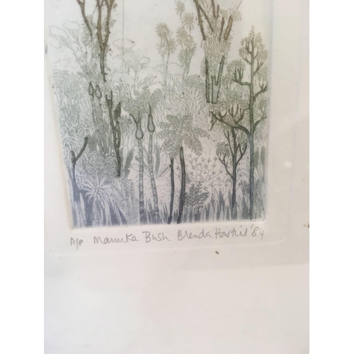 507 - BRENDA HARTILL [B. 1943] FINE ART ARTISTS PROOF COLOUR ETCHING ENTITLED''MANUKA BUSH'' INSCRIBED, SI... 