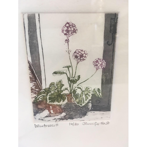 549 - JENNIFER HART.  A LIMITED EDITION, QUALITY COLOUR ETCHING ''WINDOWSILL SIGNED, INSCRIBED AND NUMBERE... 