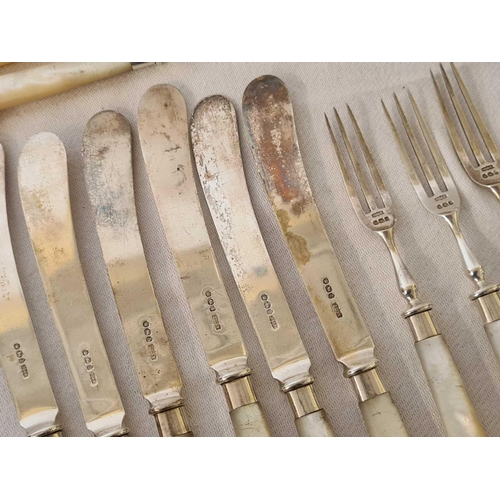 827 - SILVER SET OF 6 SILVER & MOP TEA KNIVES & 6 MATCHING FORKS, SHEFFIELD 1896, 122g