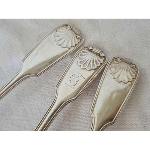 835 - 3 SILVER FIDDLE PATTERN & SHELL PATTERNED TABLE SPOONS, SHEFFIELD 1899, 330g