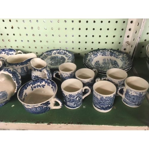 466 - 2 SHELVES OF PALISSY DINNERWARE