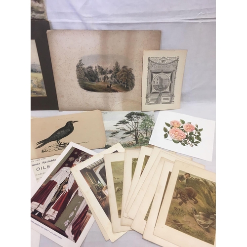 503 - FOLDER CONTAINING WATERCOLOURS, DRAWINGS, ANTIQUE ENGRAVINGS, PRINTS. LARGEST 12'' X 17''