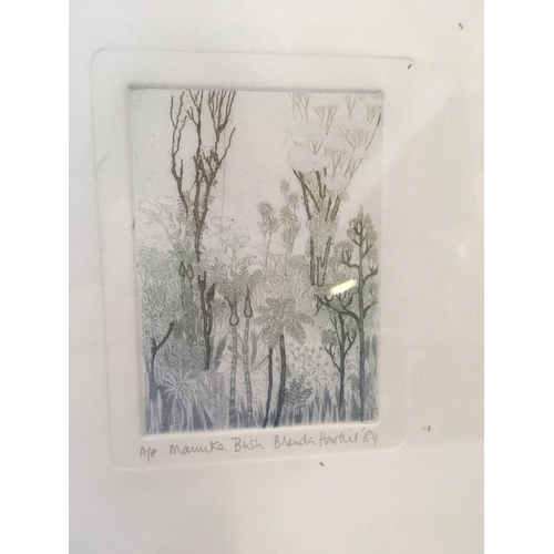 540 - BRENDA HARTILL [B. 1943] FINE ART ARTISTS PROOF COLOUR ETCHING ENTITLED ''MANUKA BUSH'' INSCRIBED, S... 