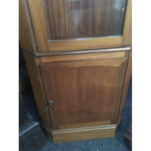 600 - MODERN GLAZED CORNER CABINET